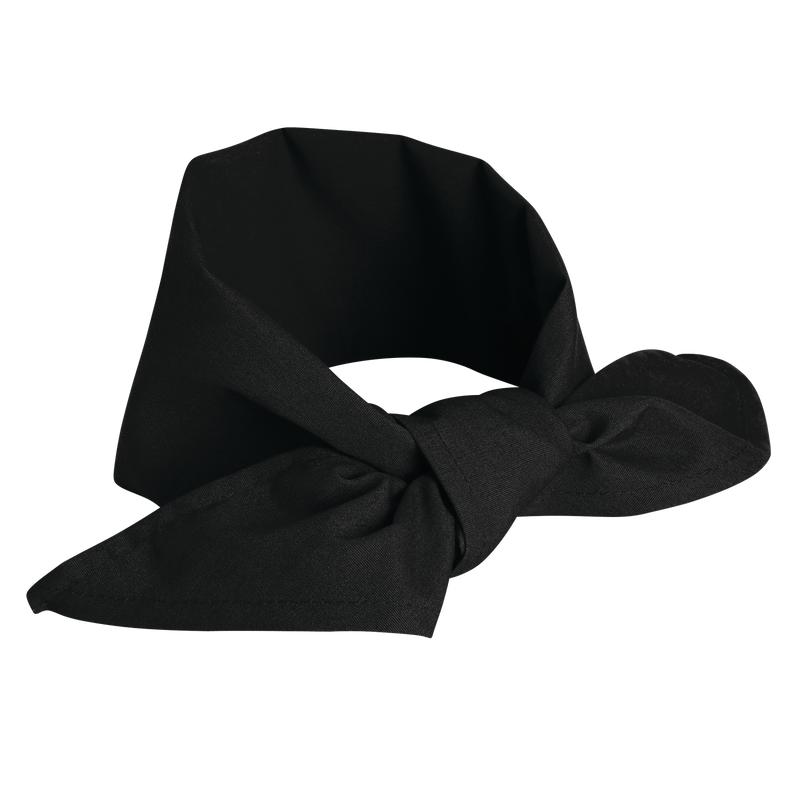 Neckerchief image number 1