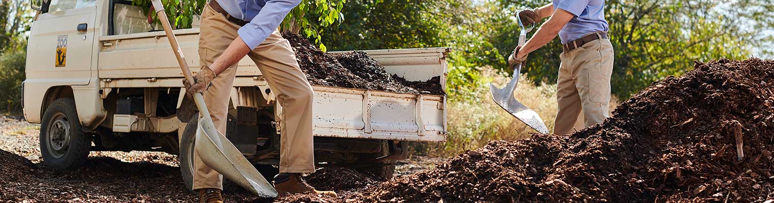 landscaping work pants